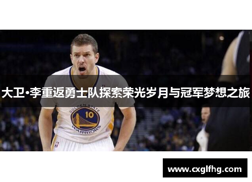 大卫·李重返勇士队探索荣光岁月与冠军梦想之旅
