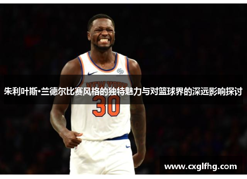 朱利叶斯·兰德尔比赛风格的独特魅力与对篮球界的深远影响探讨