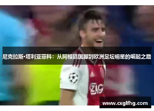 尼克拉斯·塔利亚菲科：从阿根廷国脚到欧洲足坛明星的崛起之路