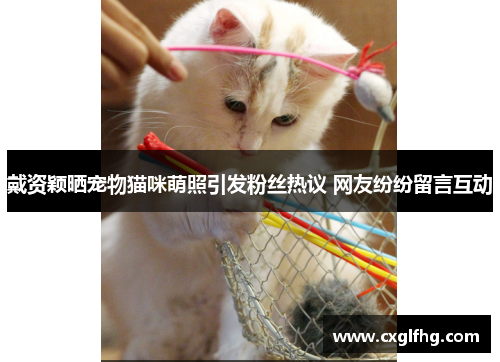 戴资颖晒宠物猫咪萌照引发粉丝热议 网友纷纷留言互动