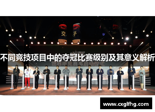 不同竞技项目中的夺冠比赛级别及其意义解析