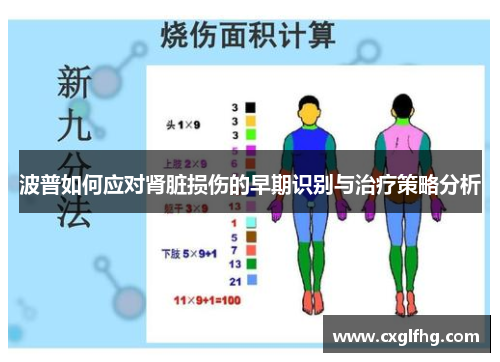 波普如何应对肾脏损伤的早期识别与治疗策略分析