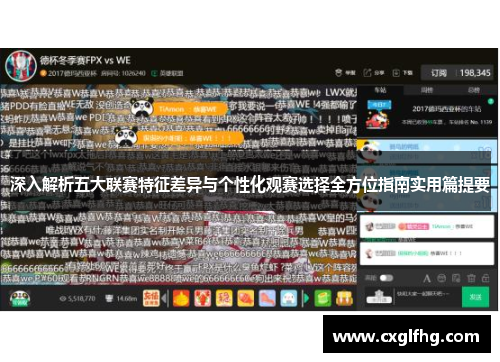 深入解析五大联赛特征差异与个性化观赛选择全方位指南实用篇提要