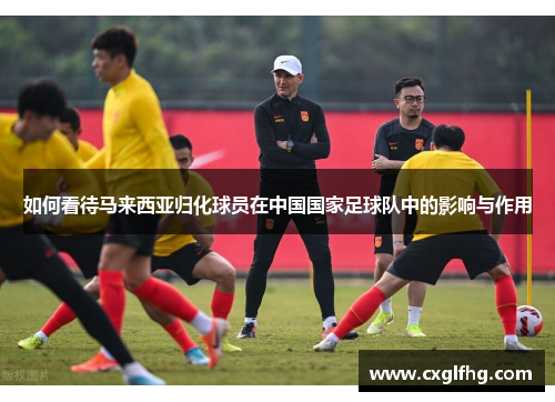 如何看待马来西亚归化球员在中国国家足球队中的影响与作用 如何看待马来西亚归化球员在中国国家足球队中的影响与作用