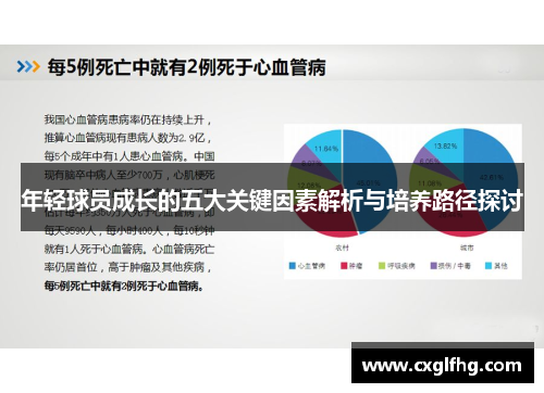 年轻球员成长的五大关键因素解析与培养路径探讨