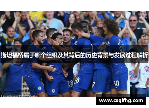 斯坦福桥属于哪个组织及其背后的历史背景与发展过程解析